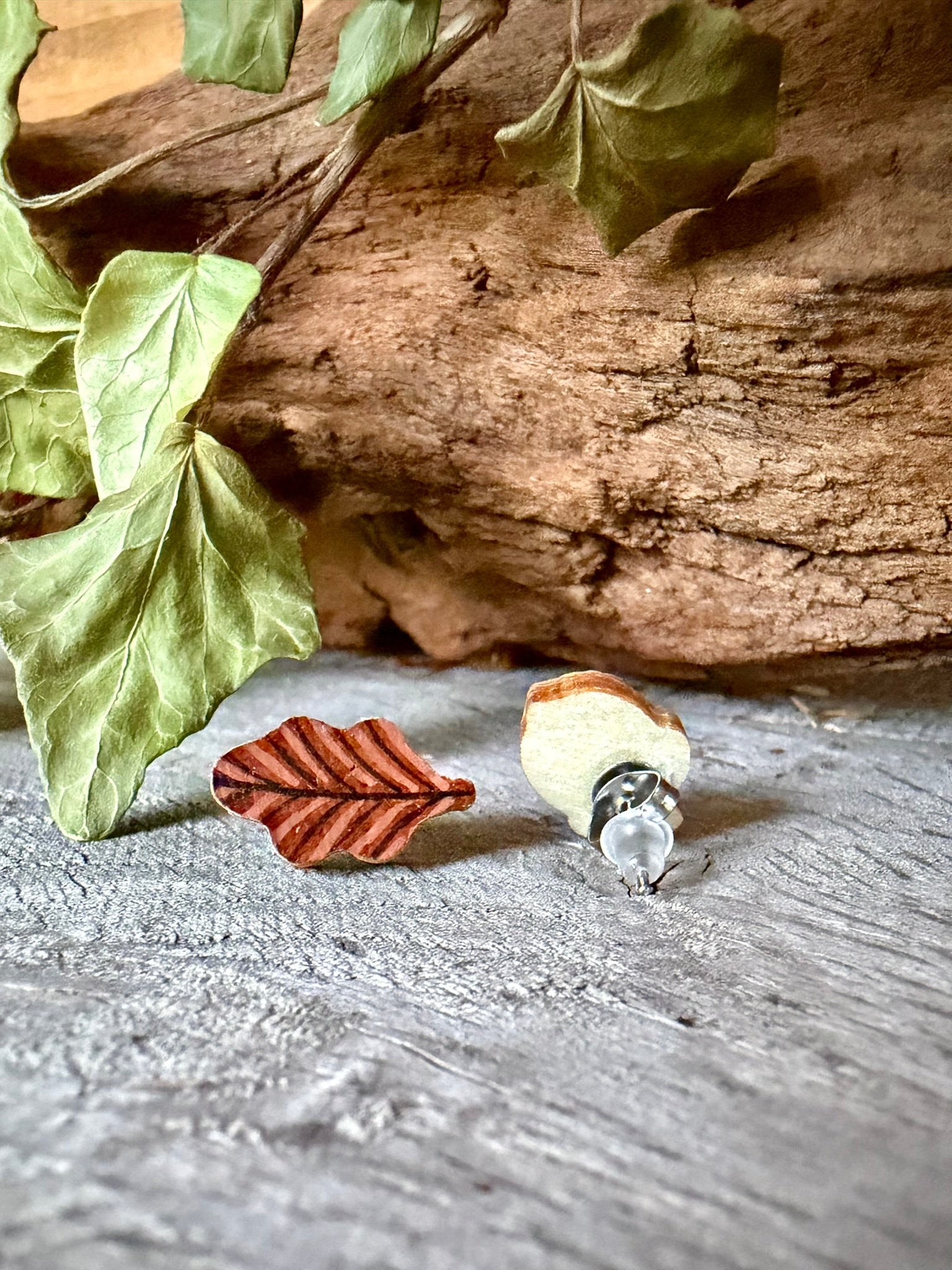 Reverse view of acorn and oak leaf cork stud earrings on driftwood showing natural wood backing, stainless steel post and silicone butterfly back