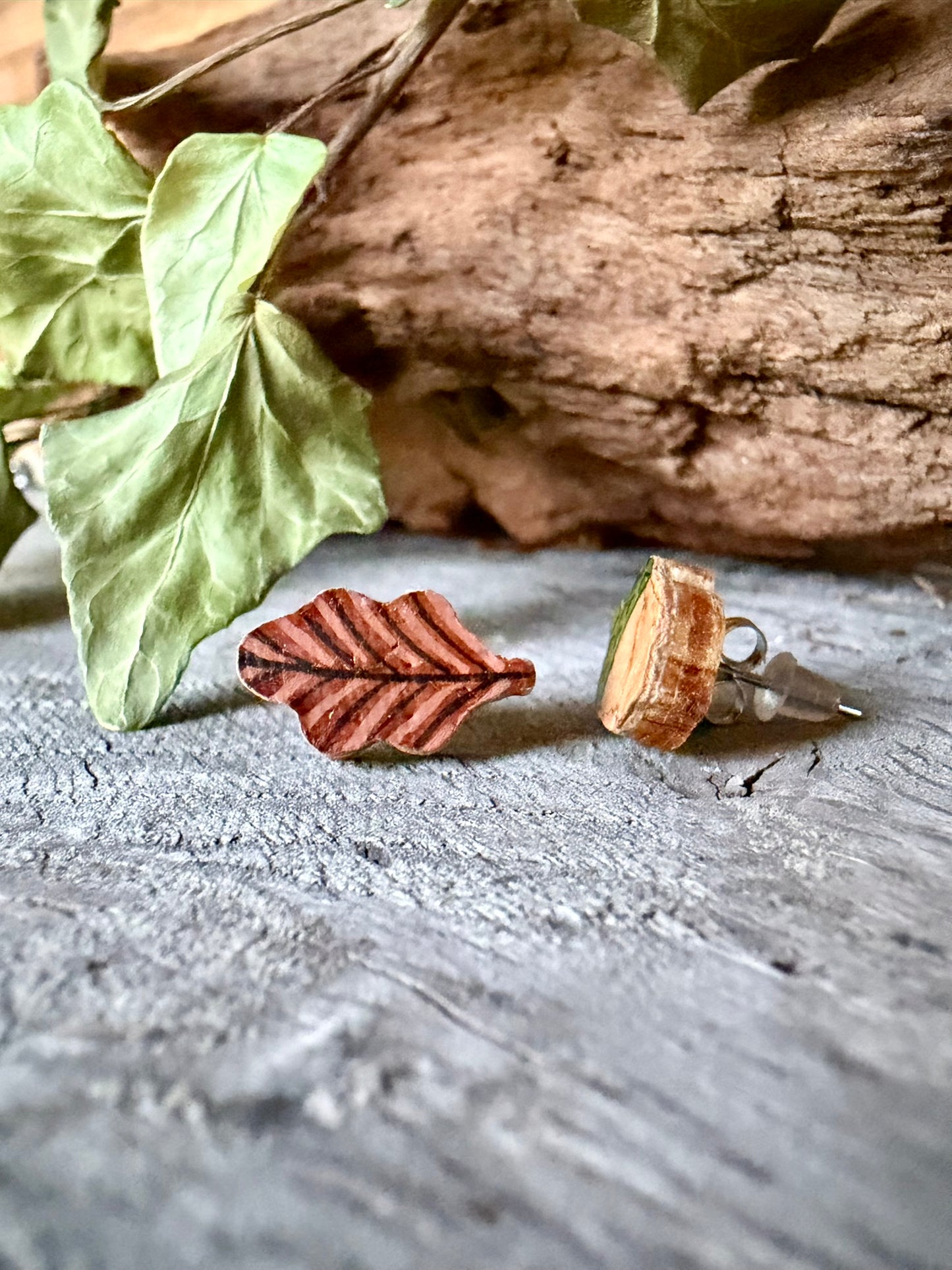Side view of oak leaf cork stud earring and acorn stud showing the natural wood reverse and stainless steel post on driftwood with ivy