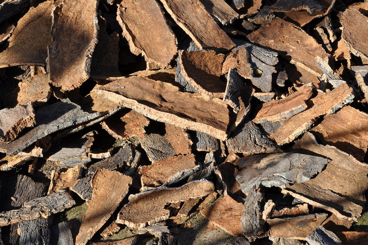 Harvested cork oak bark pieces stacked after sustainable hand-stripping from cork oak trees in the Mediterranean.