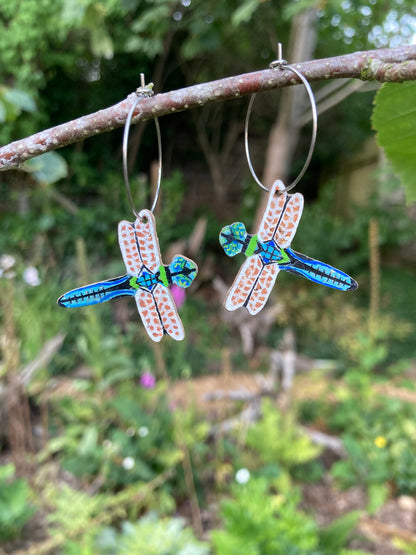 Handpainted Emperor Dragonfly cork earrings on silver hoops, handmade in Suffolk UK — sustainable nature jewellery hanging from branch with green garden background