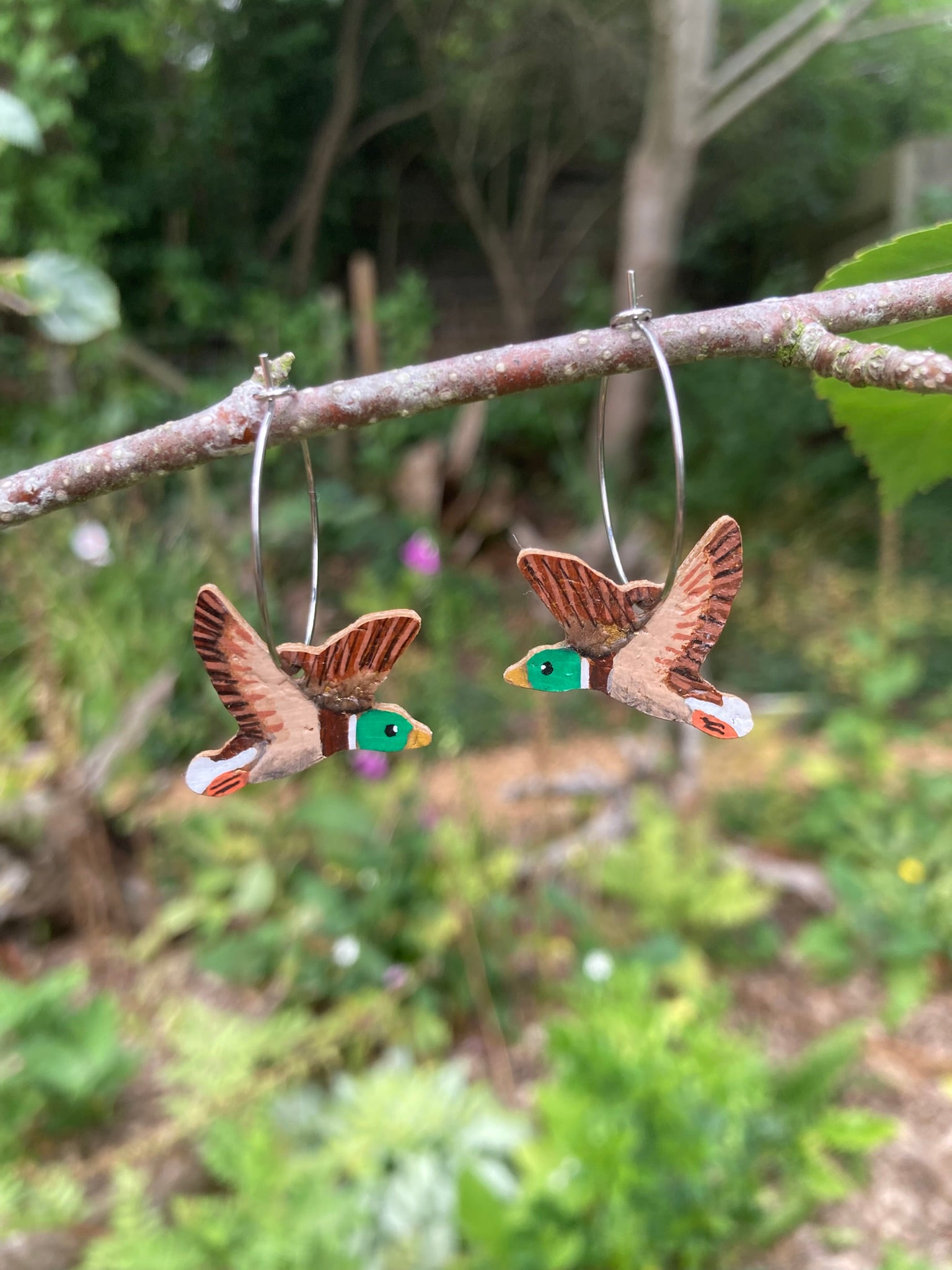 Flying duck cork earrings hanging from branch on hoop fastenings with a blurred natural woodland background